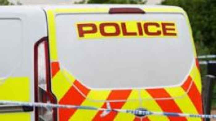 Cow dies in suspected arson attack