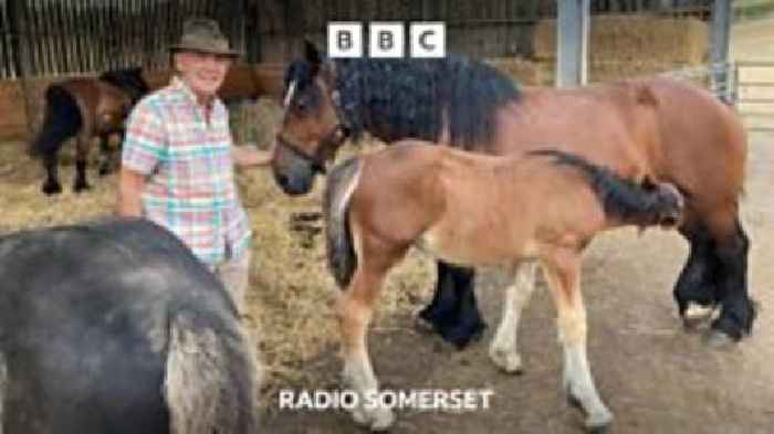Secret Somerset