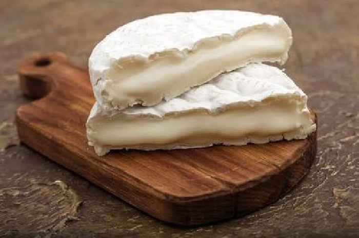 Listeria outbreak: Two dead and dozens ill in UK and Europe after eating cheese