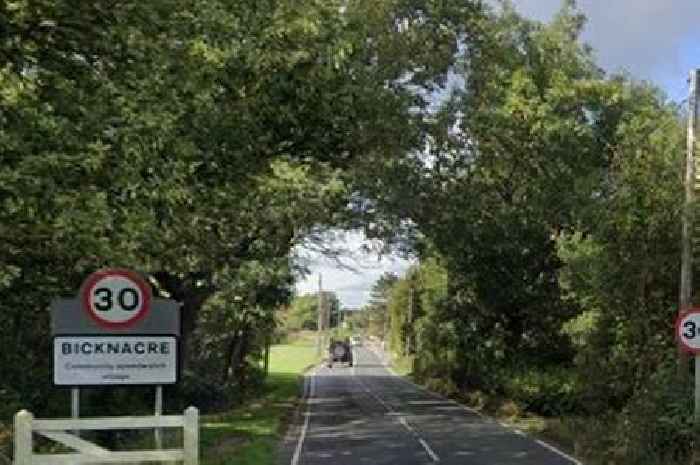 Concerns raised over plans for 250 homes in village that could bring 'much-needed' housing to the area