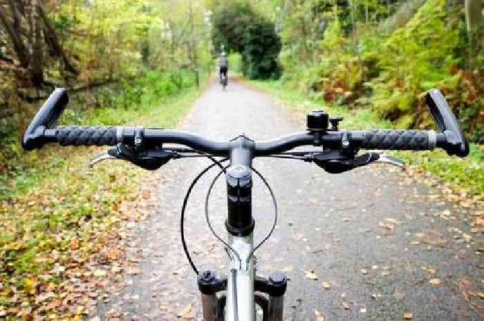 Owner of 'territorial' dog worried that new cycle path will cause their pet to bark excessively