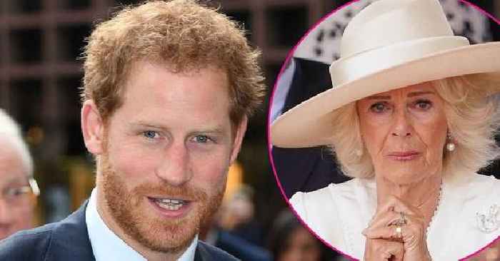 Prince Harry's 'Other Woman' Claims About Queen Camilla Debunked by Ex-Royal Butler