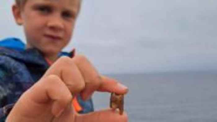 Boy's tooth find reveals bronze age burial mound