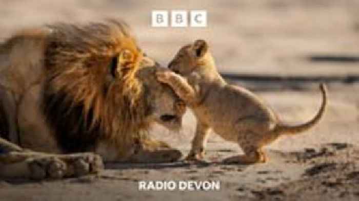 Who films nature's marvels for Sir David Attenborough?