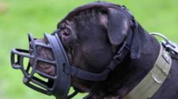 New proposed powers to control dangerous dogs