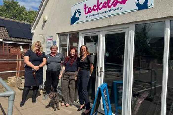 Animals get a hand from developer to find forever home