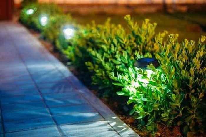All UK households warned to 'switch off' outdoor lighting for next six weeks