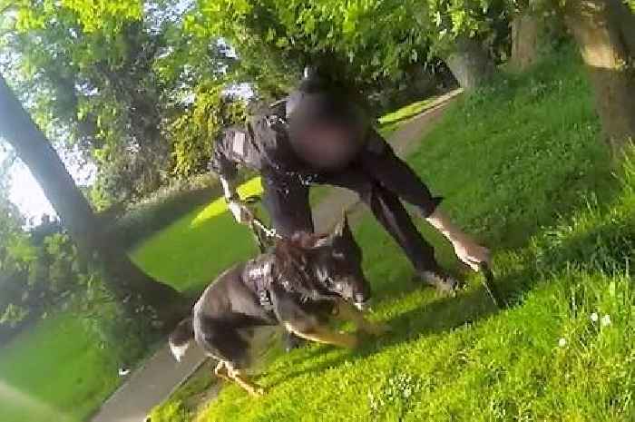Man jailed after stabbing neighbour and 'hunting down police' with crossbow