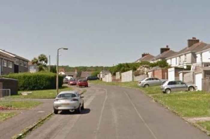 Mechanic crushed to death as he worked on car