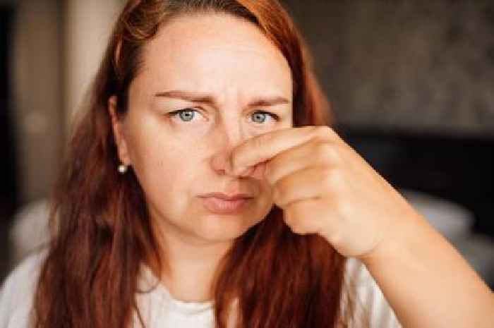 Rude neighbour's daily garden habit leaves my house smelling bad all the time