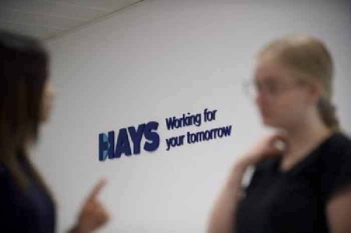 Hays slashes dividend as profit plummets