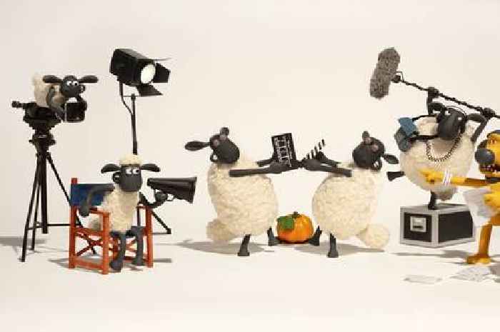 Shaun the Sheep's number one fan can star in his next film