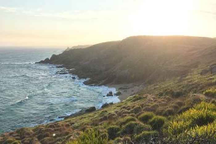 'Perfect' beach 'like stepping back into old Cornwall' as dolphins play in the waves