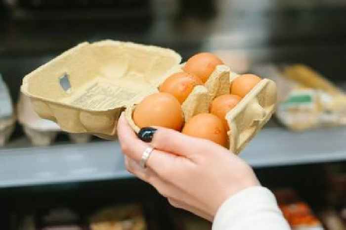 The tiny sign shoppers should check for on supermarket eggs to avoid salmonella