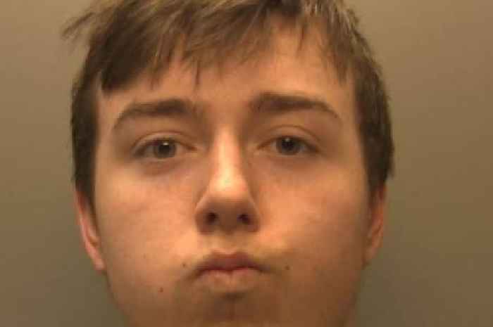 Paedophile 'hypnotised' little girl before attacking her as she clung to unicorn toy