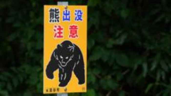 'Bear attack victim' was actually killed by son, Japan police say