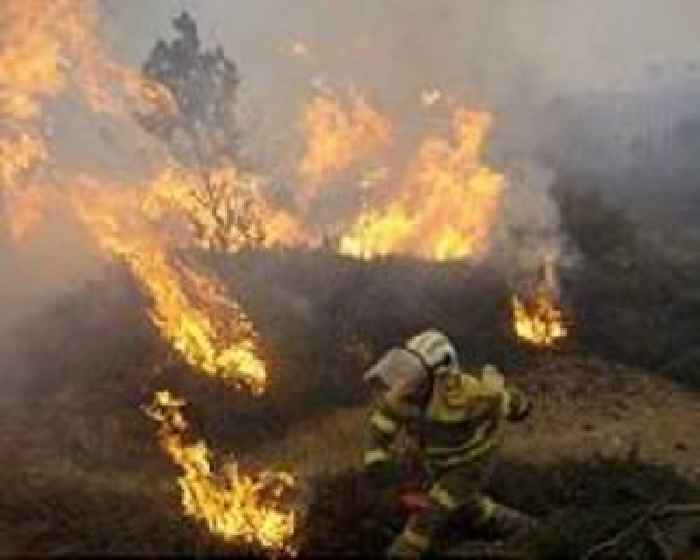 Winds complicate wildfire battle in Spain