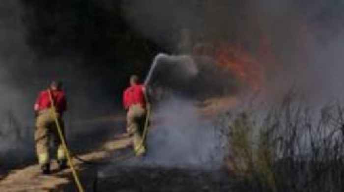 London summers: Wildfires and scorched earth