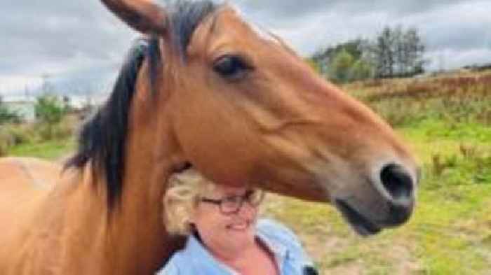'We're a forever home for animals no-one else can take'