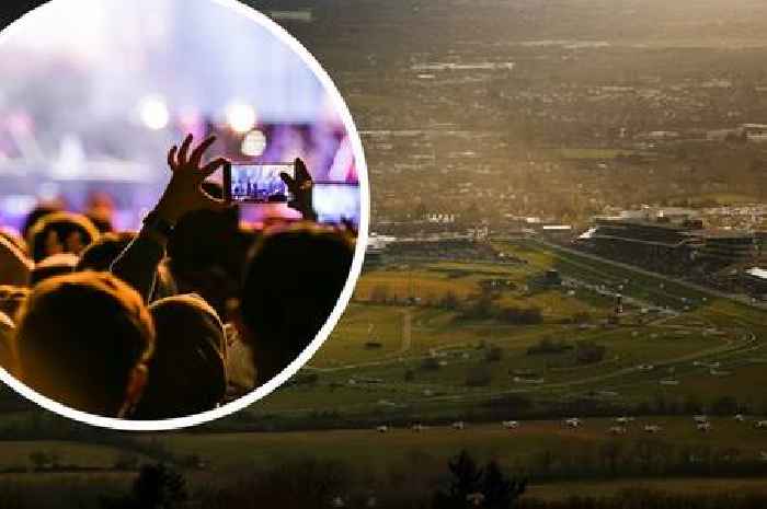 Cheltenham music festival could face axe over public safety and noise concerns
