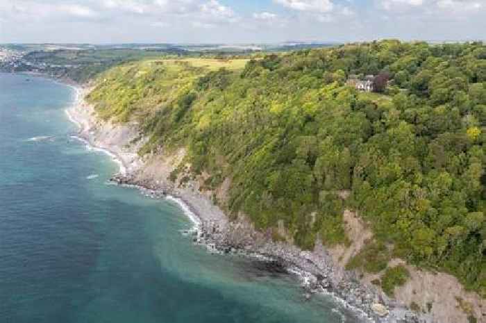 Seafront Cornwall home with monkey sanctuary on the market for £1.25m