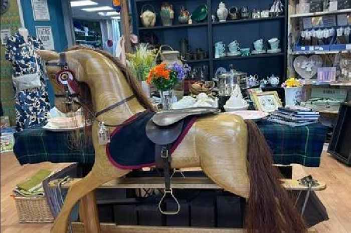 Hand crafted rocking horse is hoping to carve a tidy sum for Stirlingshire hospice