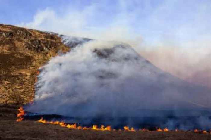 'Very high' wildfire warning issued for Scotland as residents to 'exercise extreme caution'