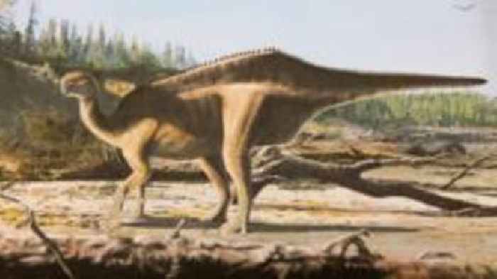 New dinosaur species unearthed on Isle of Wight named after world record sailor