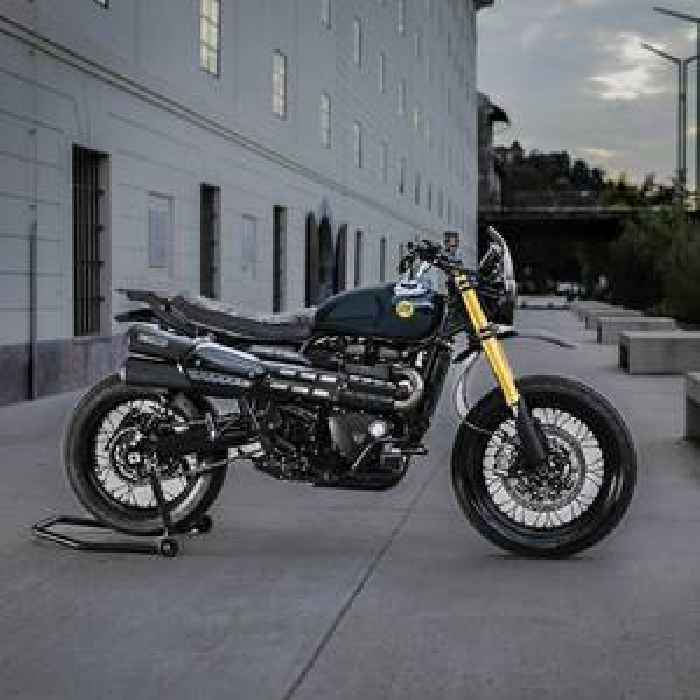 The Shepherd Is What Happens When a Triumph Scrambler 1200 XE Embraces Its Custom Side