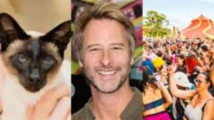 East of England news quiz of the week