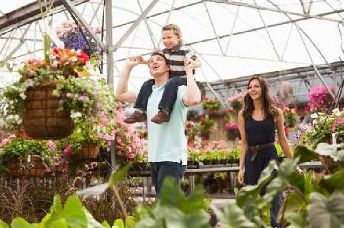 Leicestershire's top three garden centres named by readers: Help pick the winner