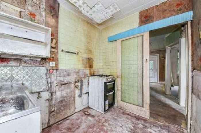 Birmingham house buried in trees for nearly 20 years up for sale