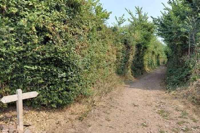 New plans to improve walking and cycling routes in beautiful national park