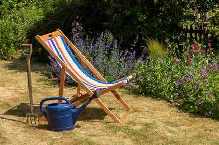 One simple item will help lawns recover quickly from sun damage this month