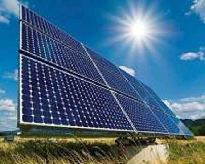 Solar tracking panels support high quality rice yields in Japan agrivoltaics trial