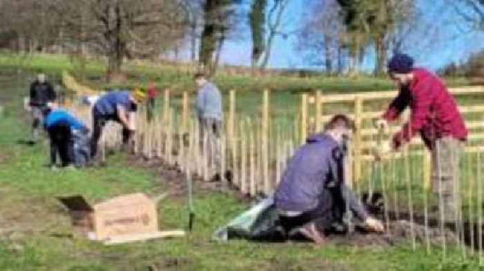 Volunteers turn grassland into network of wetlands