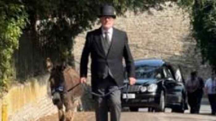 Donkey leads funeral procession for animal lover