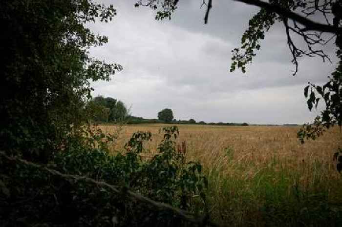 The ancient Nottinghamshire woodland at risk under threat of hundreds of new homes