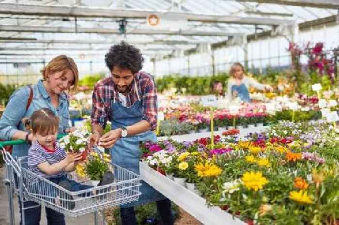Kent's best garden centres shortlisted: Help pick the winner