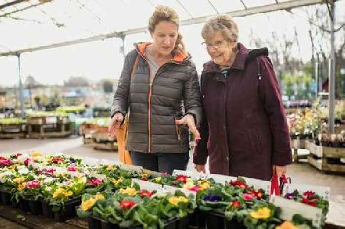 Help us crown Surrey's best garden centre