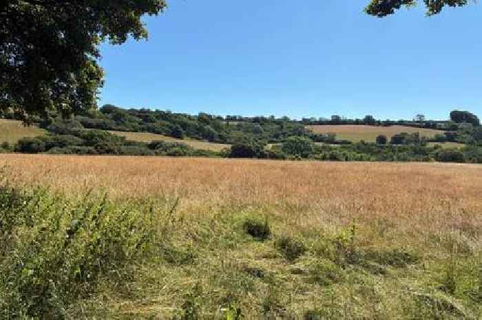 Idyllic South West nature reserve which balances wildlife and visitors