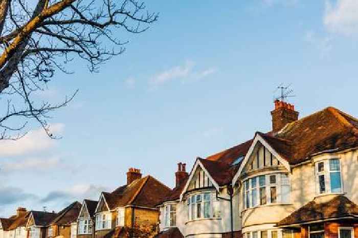 'Neighbour called police after my harmless act - now I want to get her back'