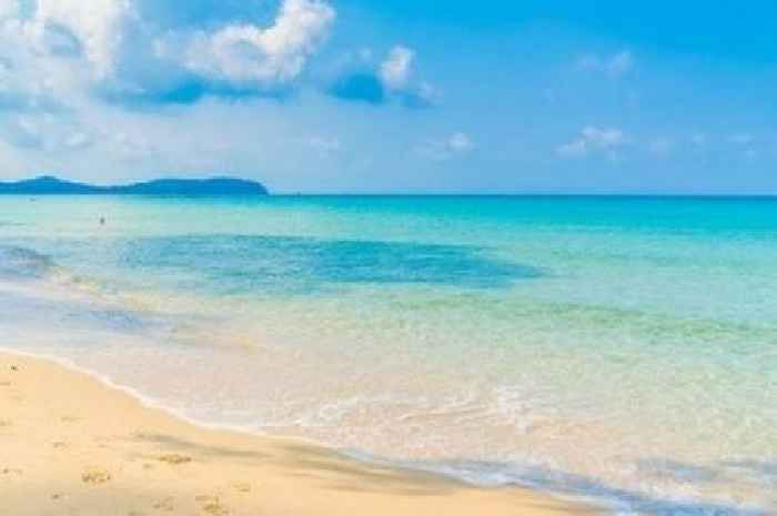 Cornwall's 'last true hidden gem' beach 'looks like Caribbean' - but there's one catch