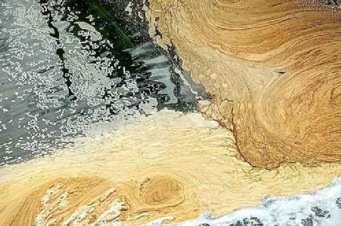 Welsh marina turns yellow as people spot foam in water