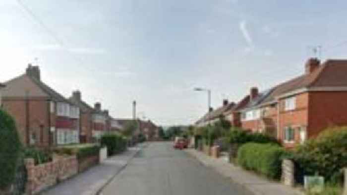 Ban for owner after dog escaped and bit child