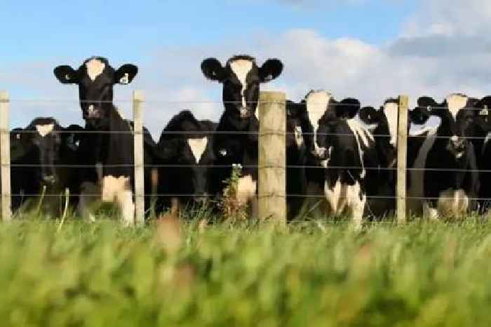 Food inflation jumps to 18-month high as chocolate and butter prices rise