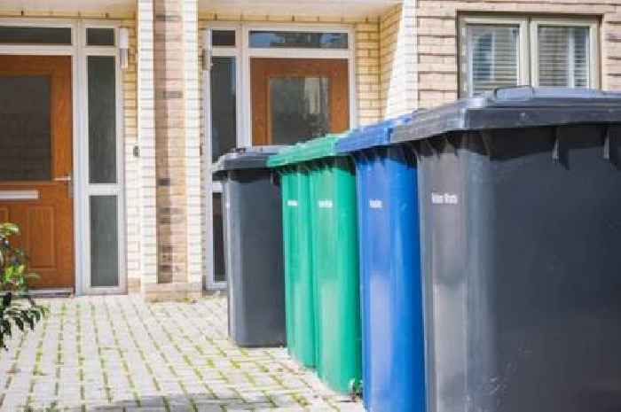 UK households ordered to 'wash recyling bins' before end of August