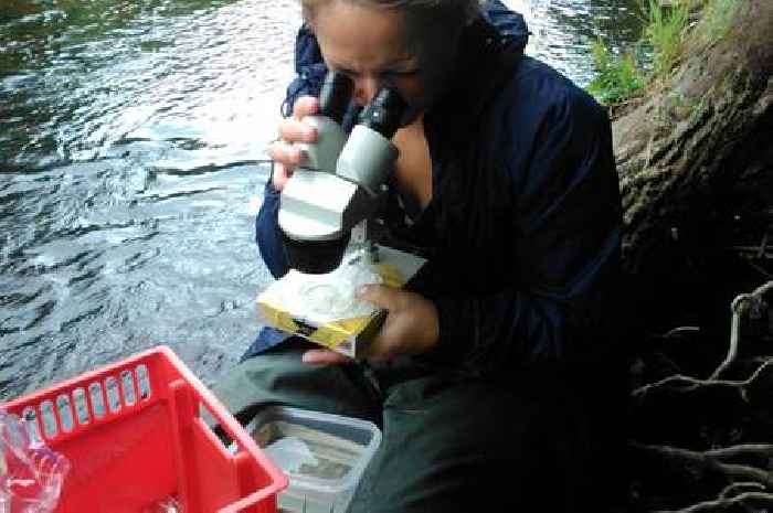 Pollution penalties are fuelling the fight to fix Devon’s rivers