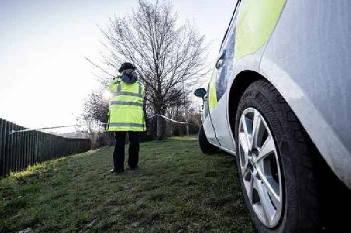 Two accused of having dangerous dog out of control that bit woman in Loughton are named