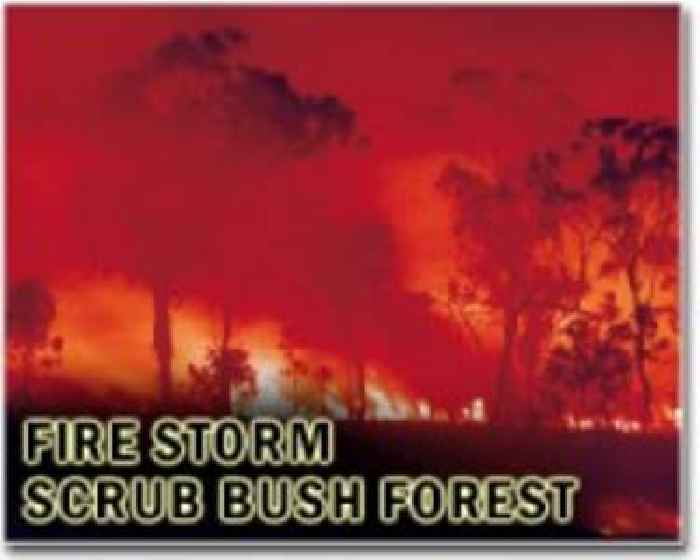 Portugal counts the cost of its biggest ever forest fire, Spain hopeful of dousing remaining wildfires